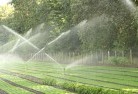Caliphlandscaping-water-management-and-drainage-17.jpg; ?>